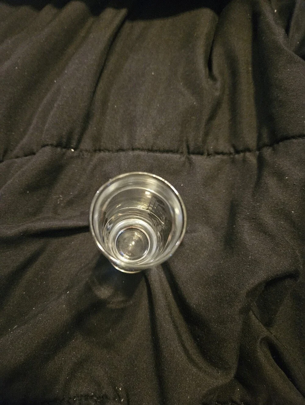 Amanda Palmer Dresden Dolls Shot Glass